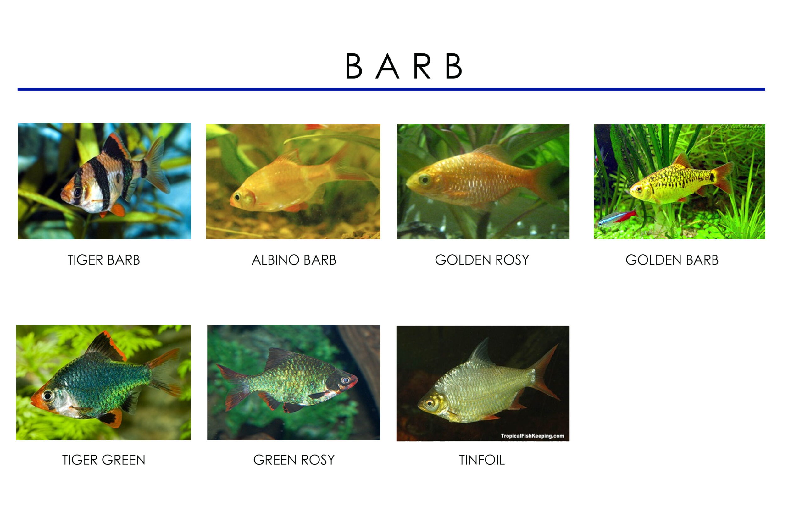 689acca92d99b scaled