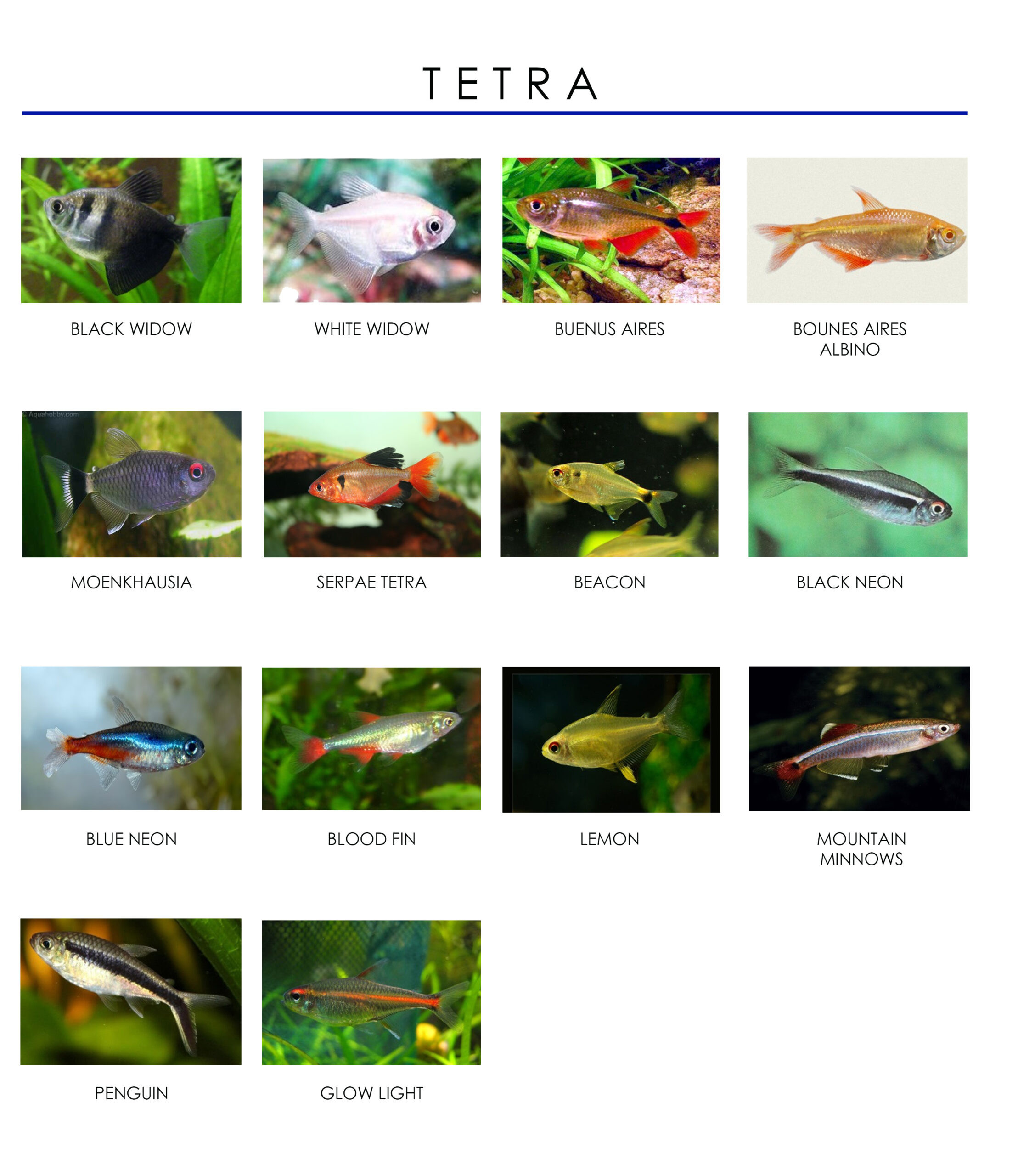 689accc079d21 scaled