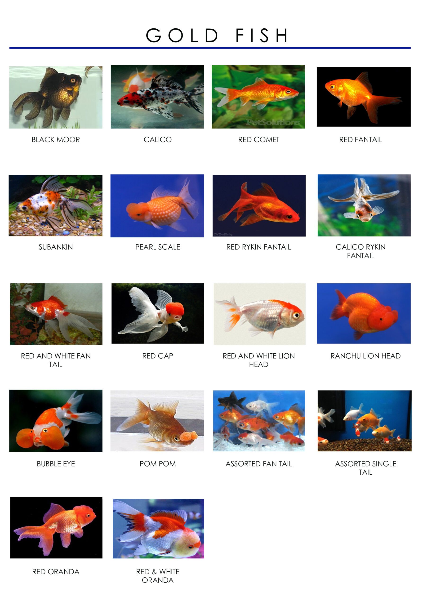 689accf682d2f scaled