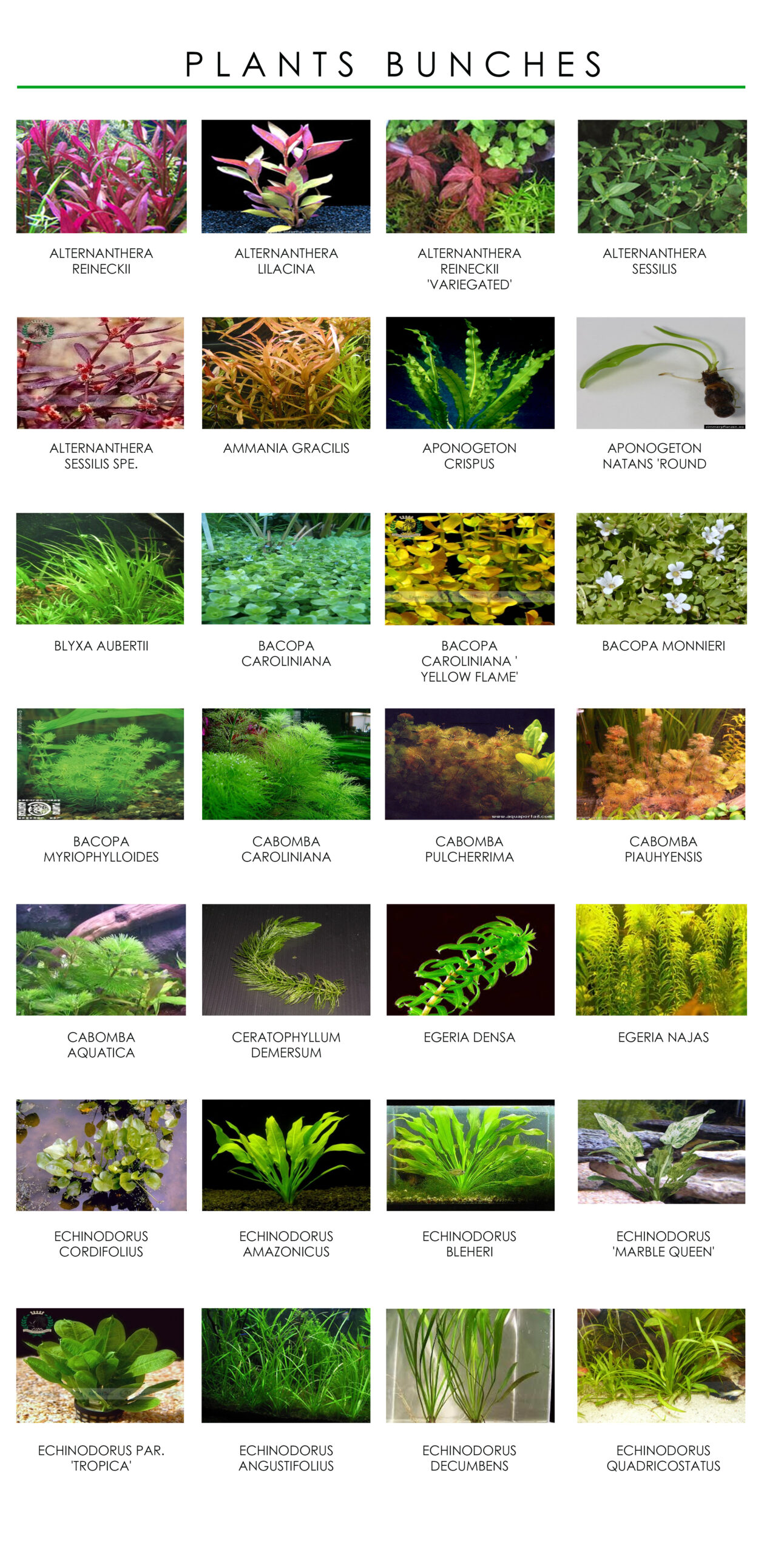 689acd6b57be0 1 scaled