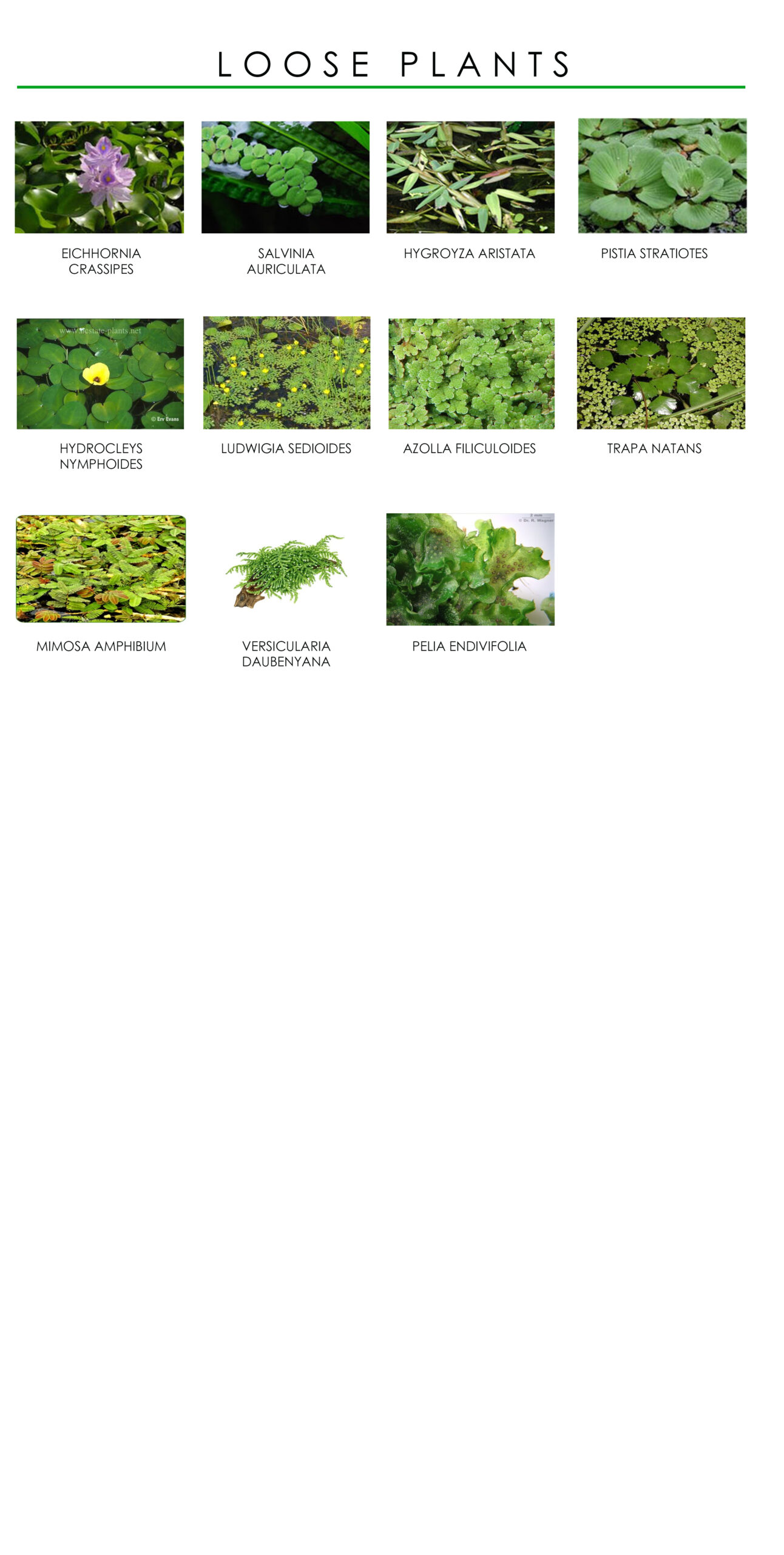 689acda95a807 scaled