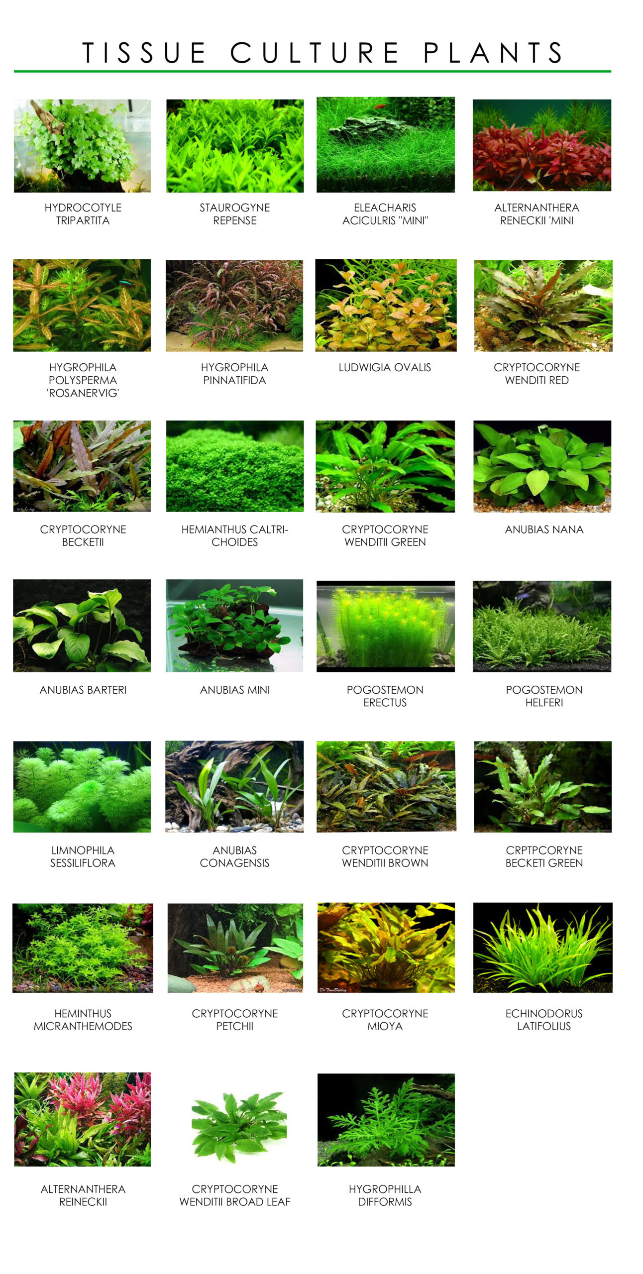 689acdcbbc6ca scaled